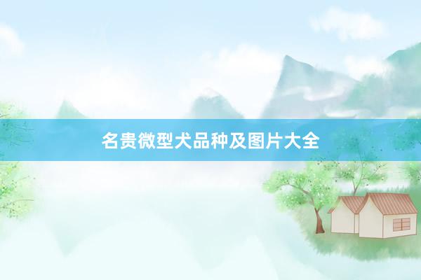 名贵微型犬品种及图片大全