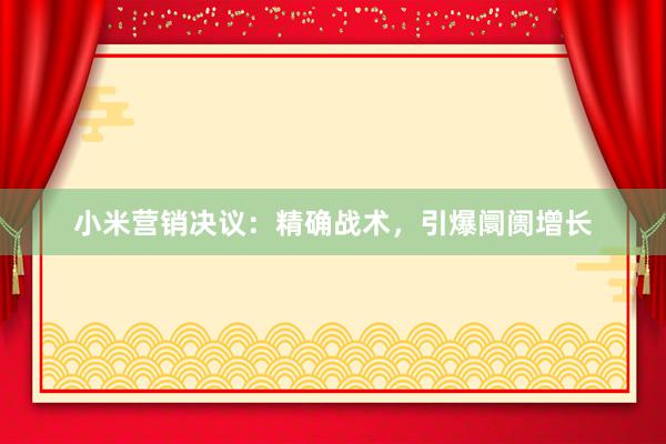 小米营销决议：精确战术，引爆阛阓增长